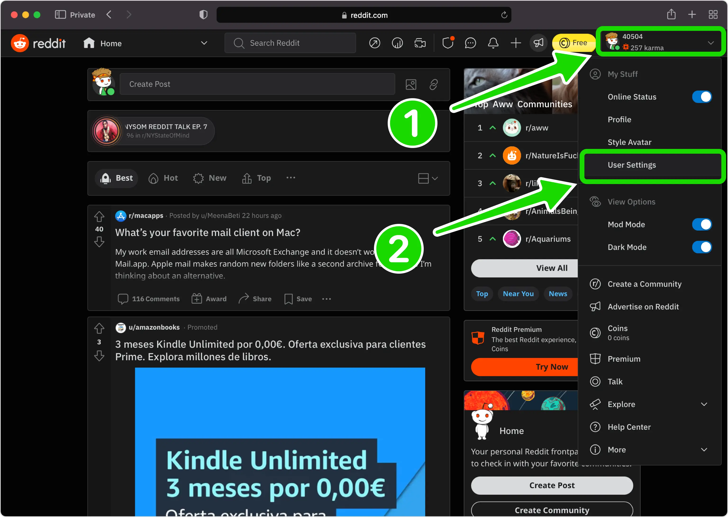 Abra Configurações no site do Reddit