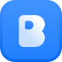 Birdie logo